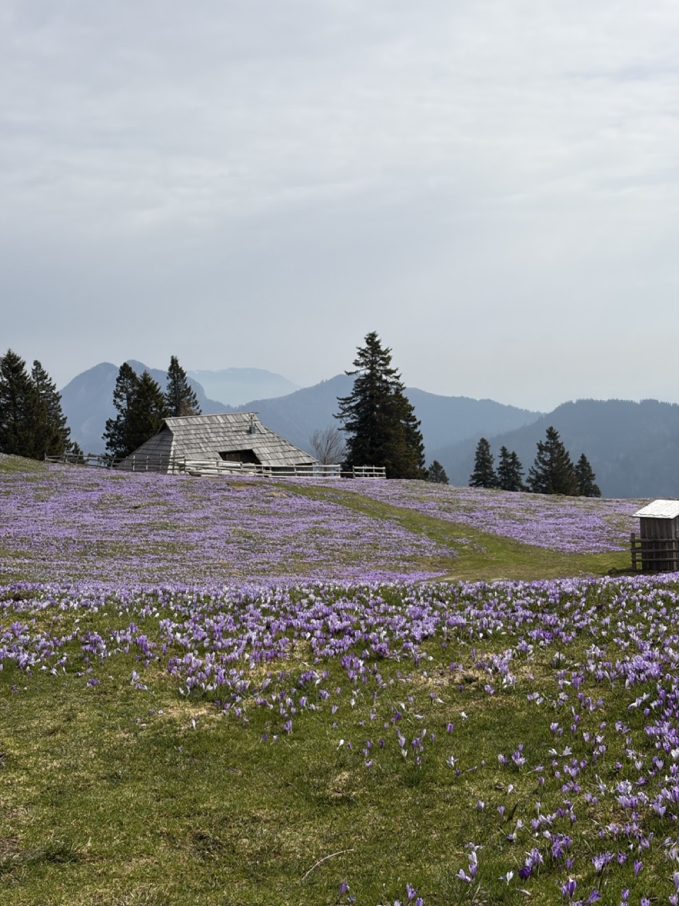 Stahovica - Velika Planina (Gradišče)