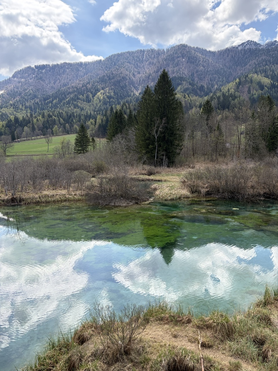 Kranjska gora - Zelenci - Planica