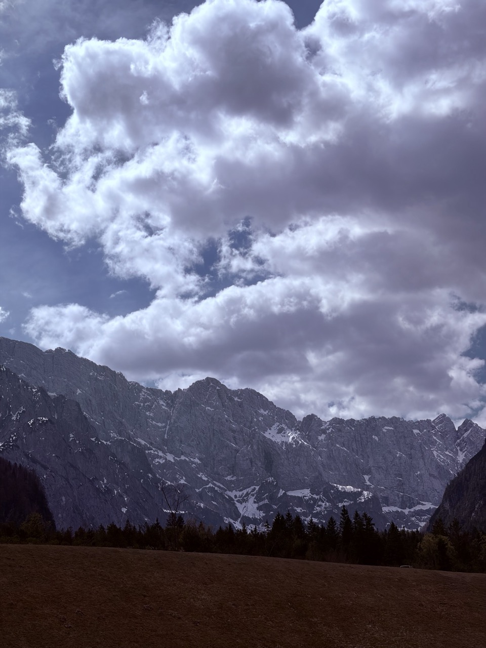 Kranjska gora - Zelenci - Planica