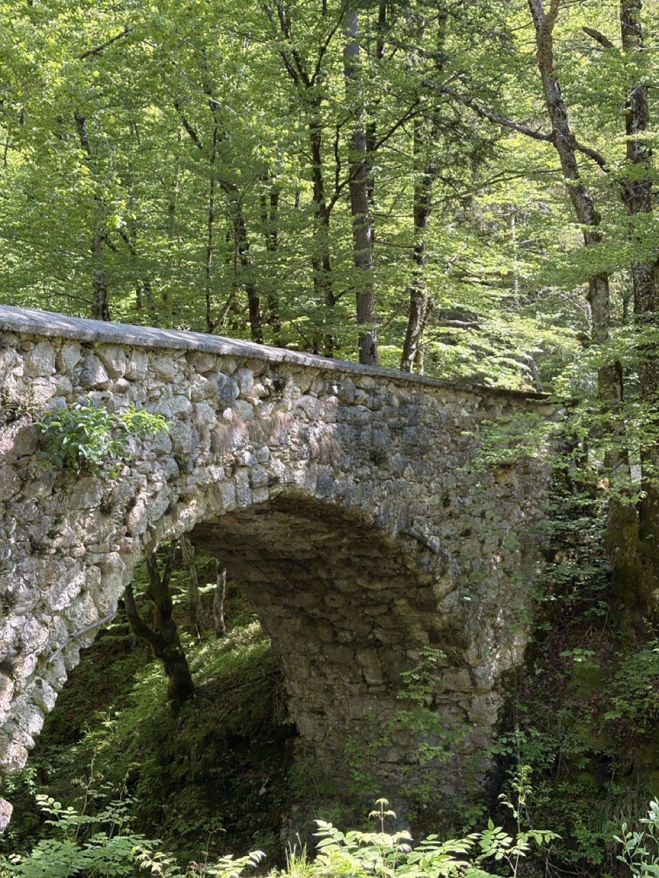 Mostnica Gorge