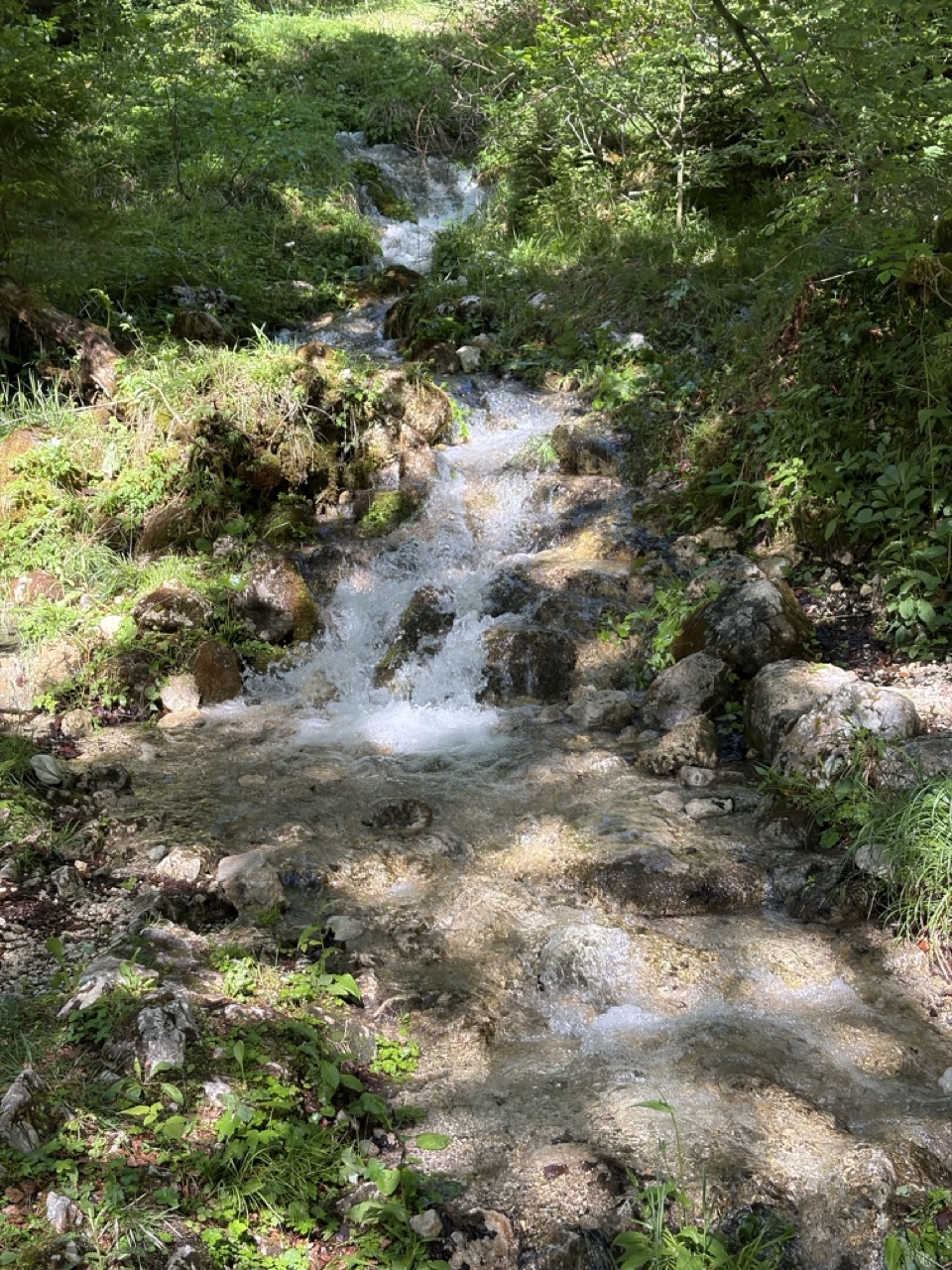 Mostnica Gorge