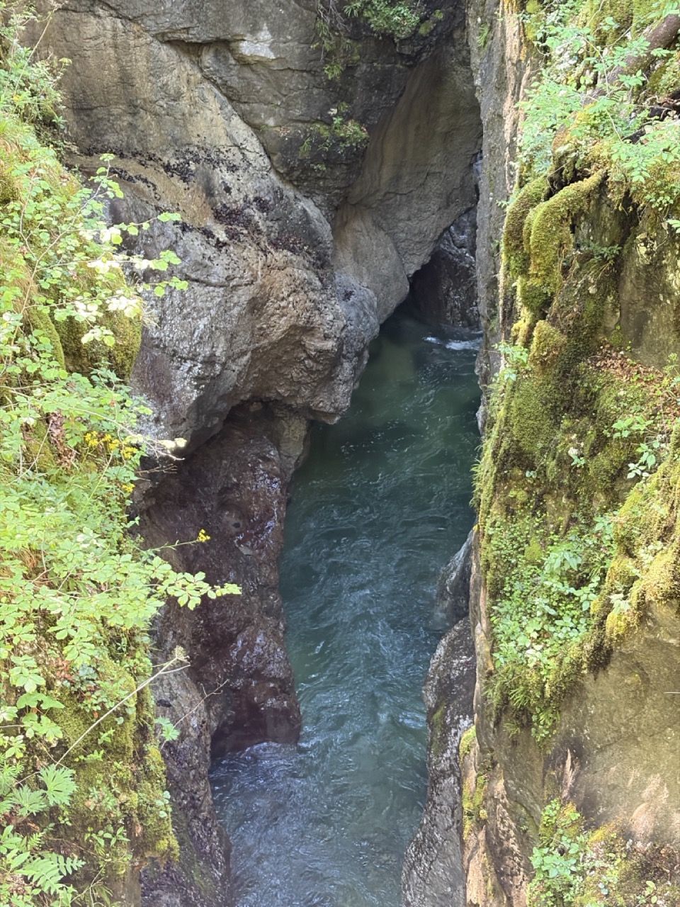 Mostnica Gorge