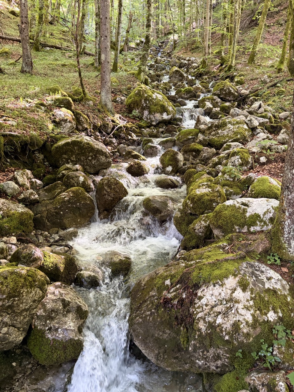 Mostnica Gorge
