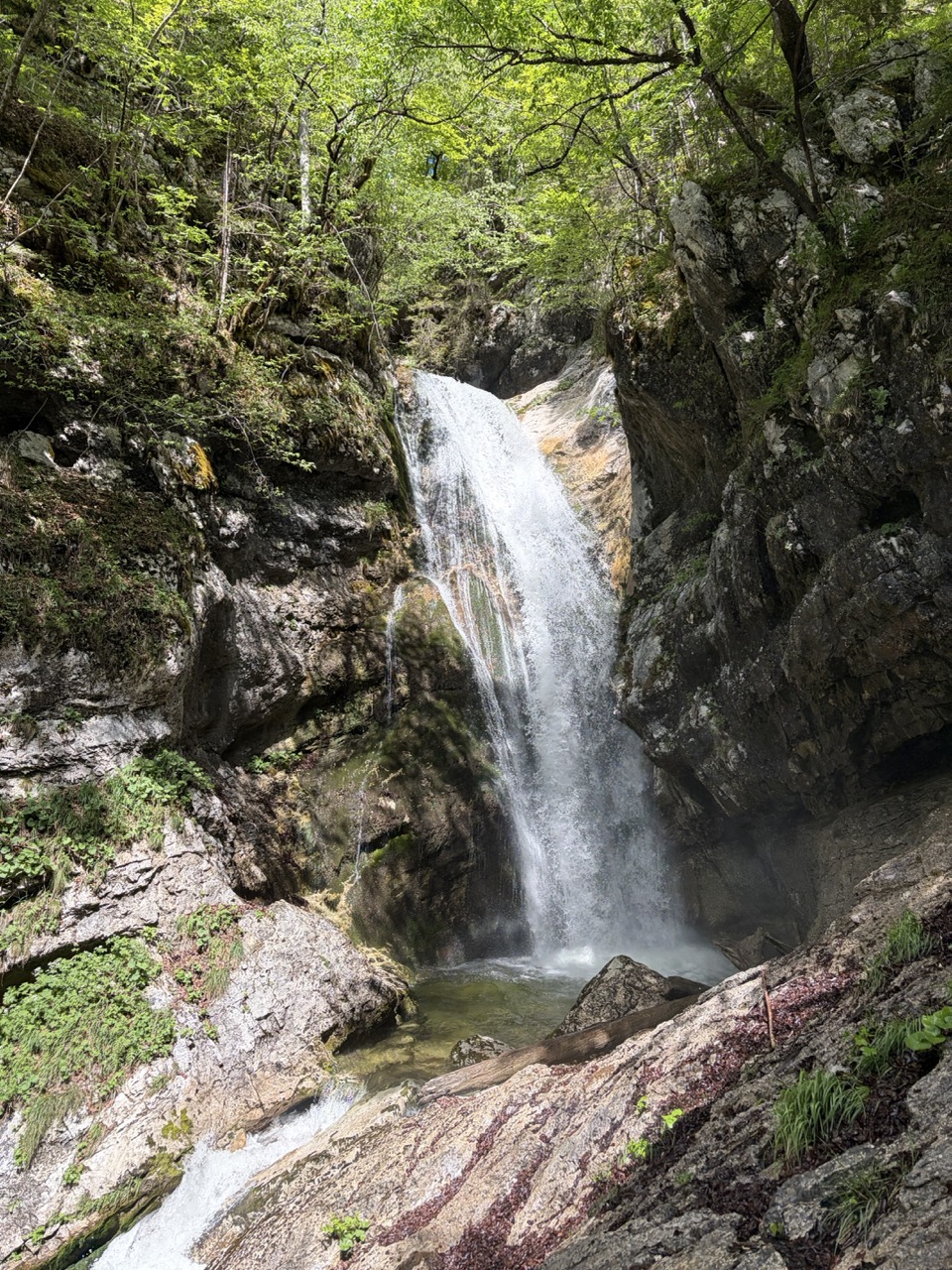 Mostnica Gorge