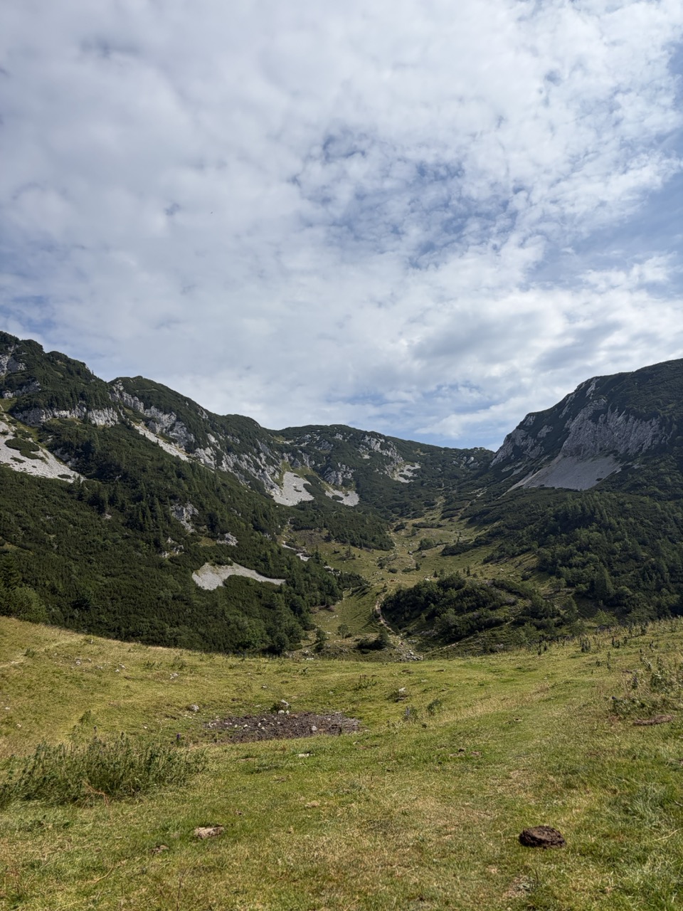 Vrh Korena - krožna
