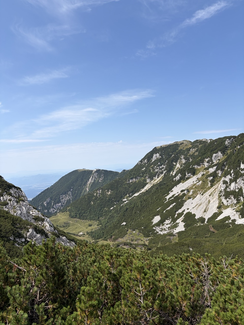 Vrh Korena - krožna