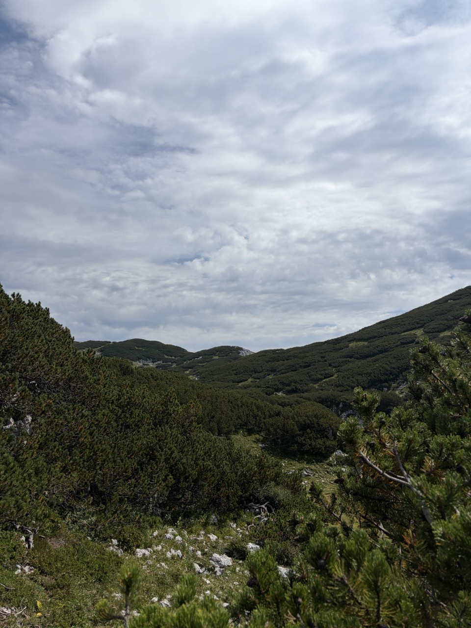 Vrh Korena - krožna