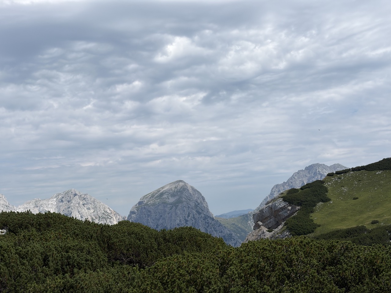 Vrh Korena - krožna