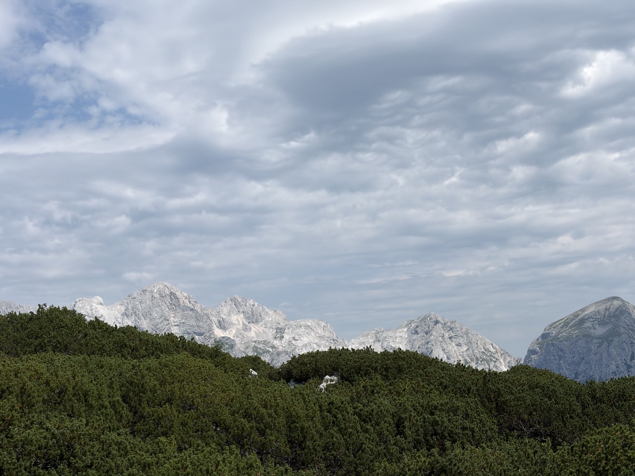 Vrh Korena - krožna