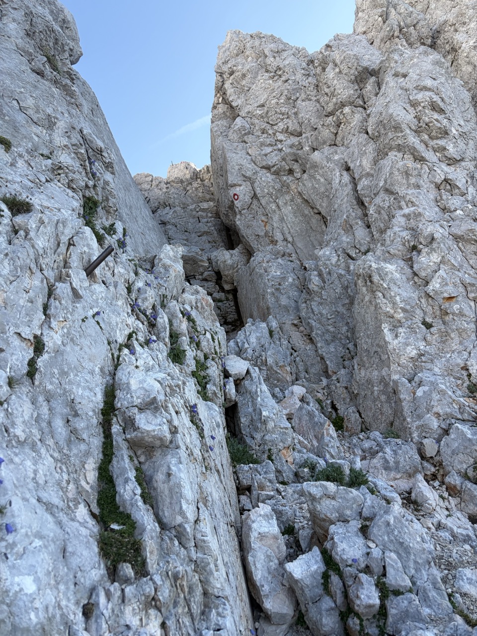 Skuta - Grintavec