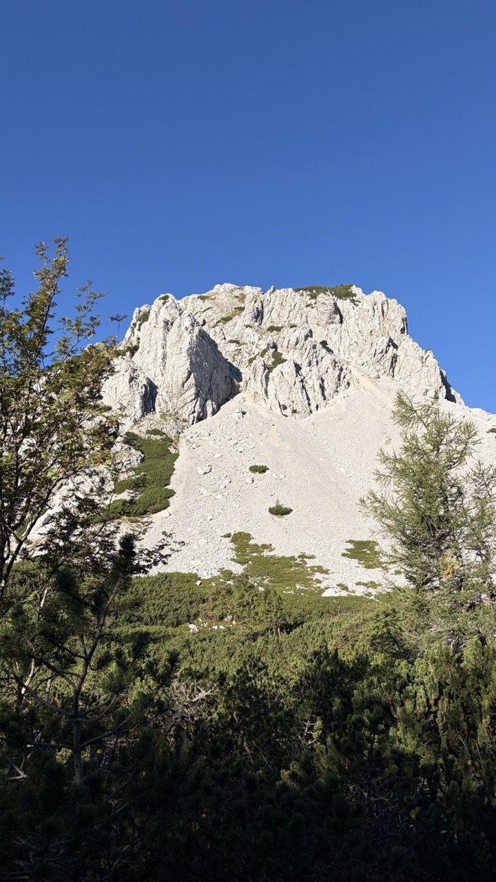 Stol - od Valvasorja mimo izvira Završnice (krožna)