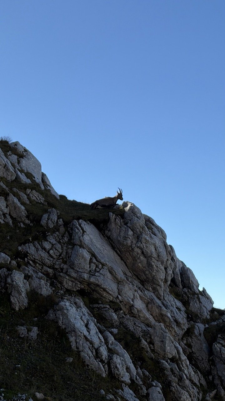 Cima di Terrarossa
