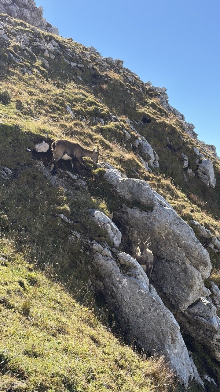Cima di Terrarossa