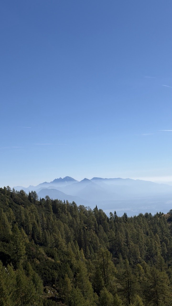 Brda (krožna)