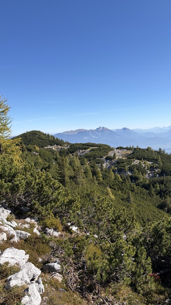 Brda (krožna)