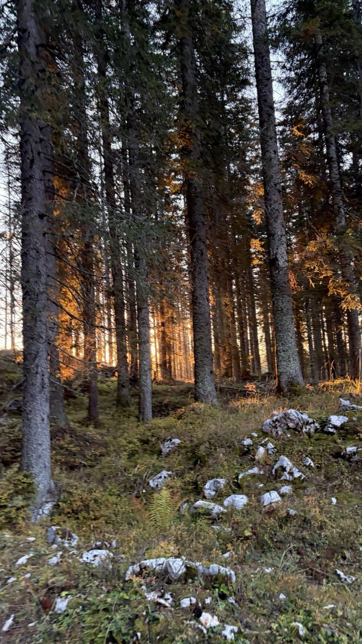 Around Viševnik