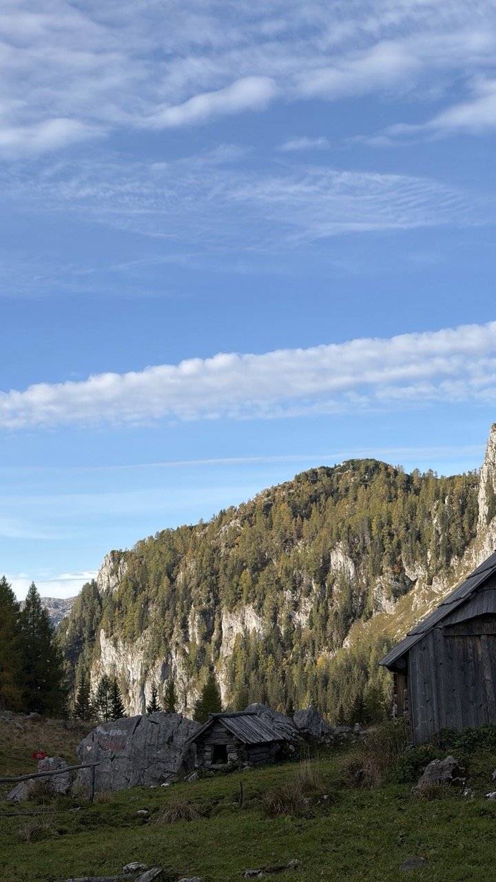 Autumn poker of Bohinj alpine pastures