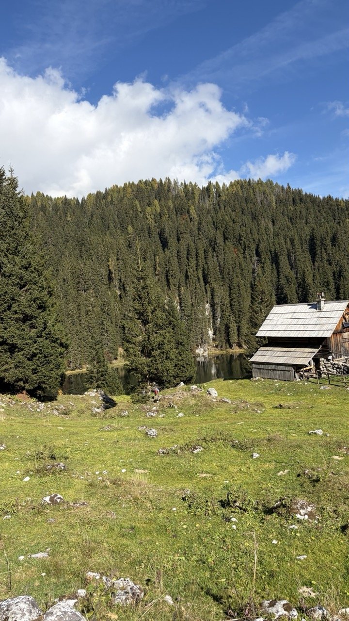 Autumn poker of Bohinj alpine pastures