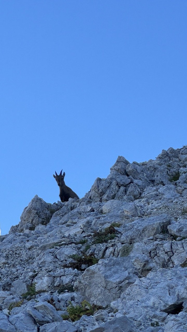 Triglav via Križ, Stenar, Bovški Gamsovec, Plamenice and back via Prag