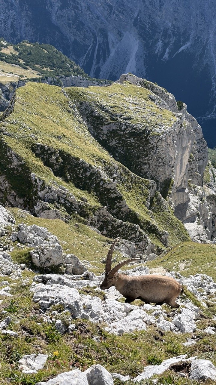Triglav via Križ, Stenar, Bovški Gamsovec, Plamenice and back via Prag