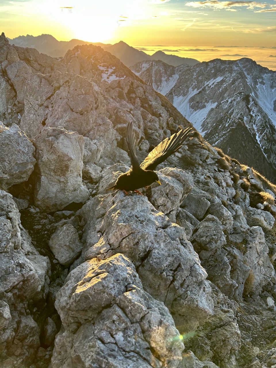 Ljubelj - Vrtača