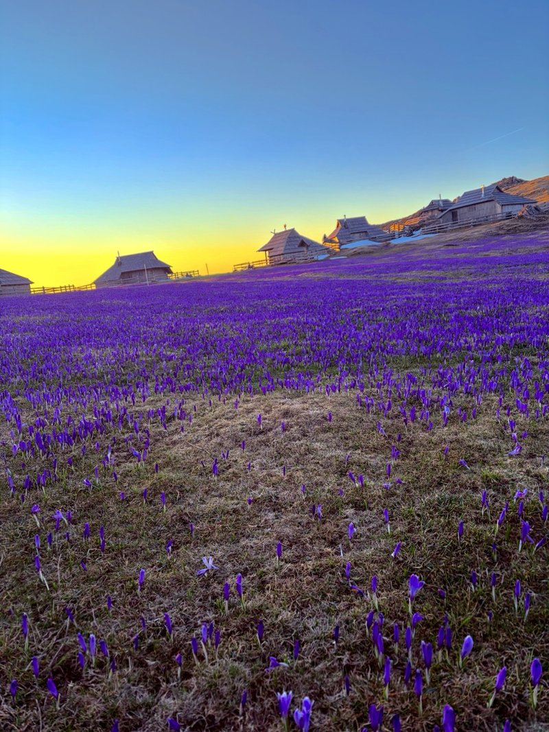 Stahovica - Velika Planina (Gradišče)