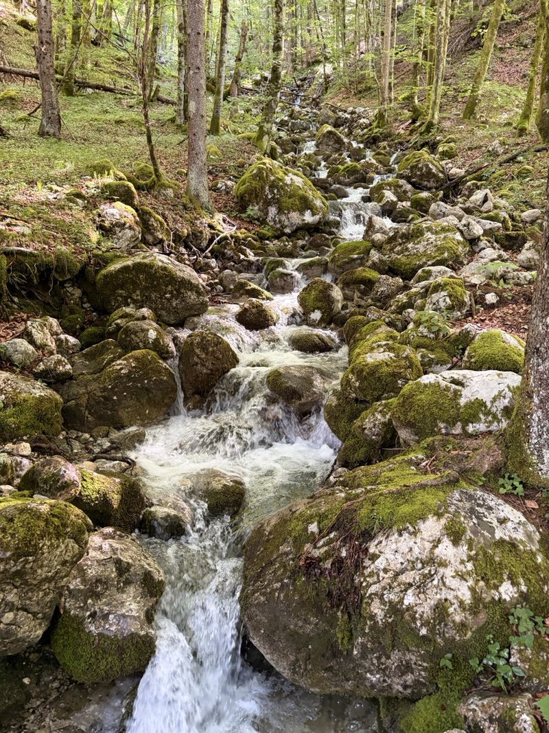 Mostnica Gorge