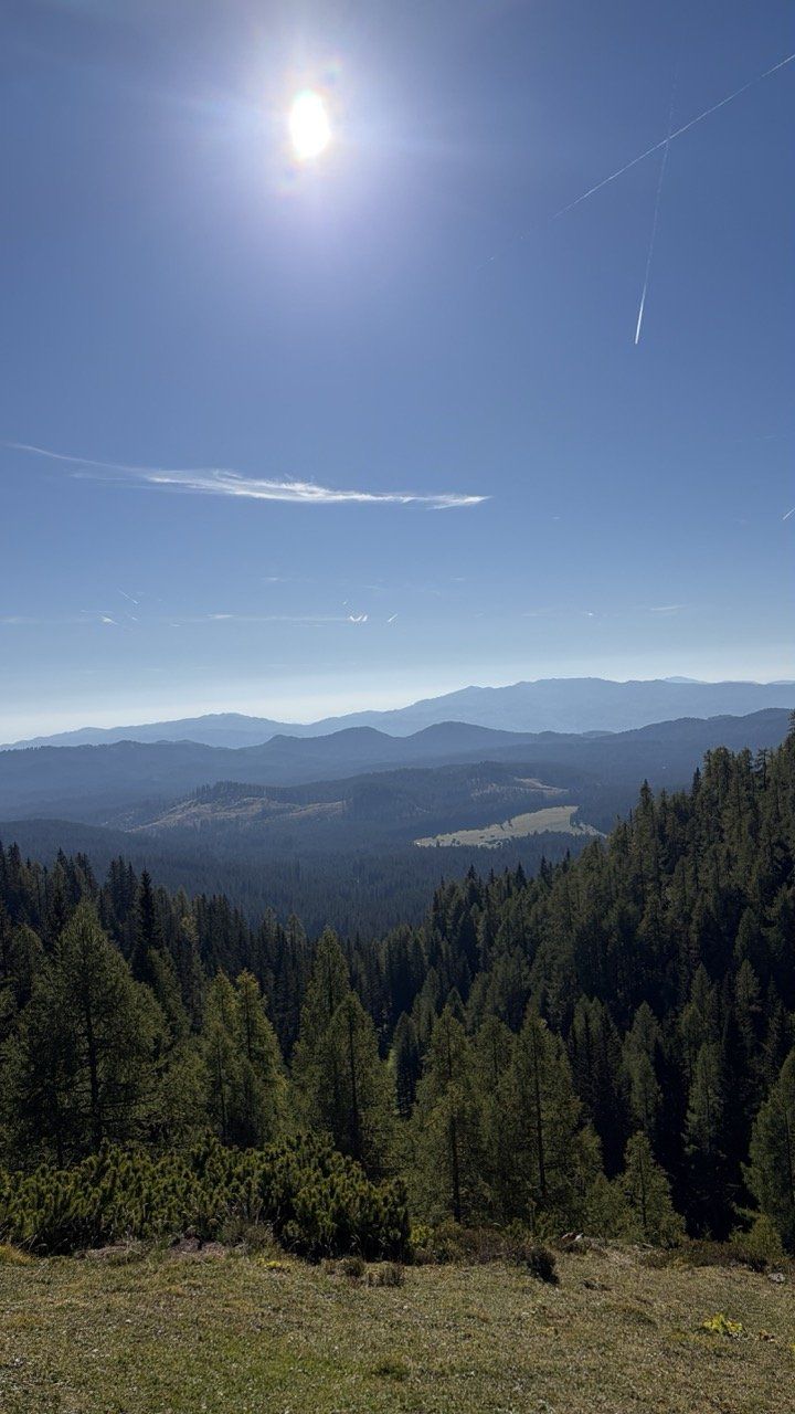 Brda (krožna)