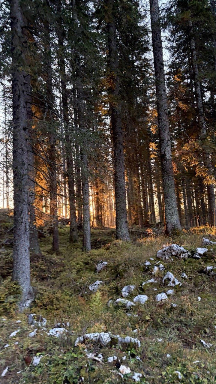 Okrog Viševnika